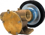 Johnson 1013022961 Bronze Clutch Pump